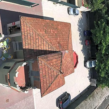 Fiorella